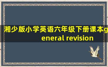 湘少版小学英语六年级下册课本general revision